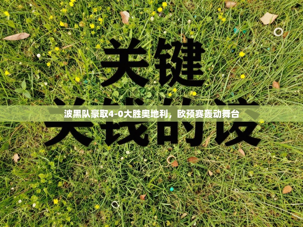 开云体育赛程表查询-波黑队豪取4-0大胜奥地利，欧预赛轰动舞台  第3张